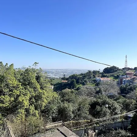 Bloom I - Montain Alpstuga