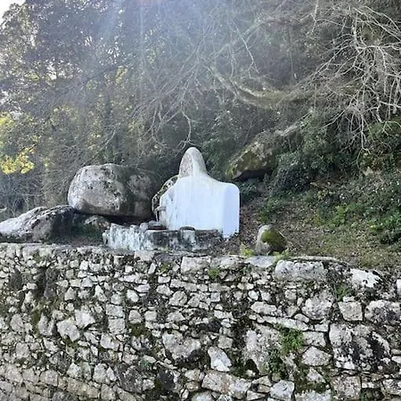 Bloom I - Montain Alpstuga *