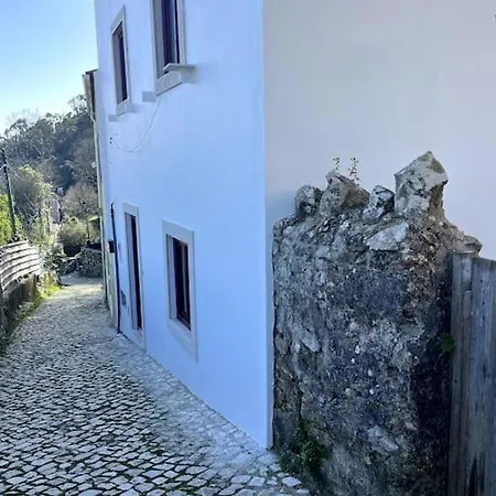 Bloom I - Montain Dağ evi Sintra