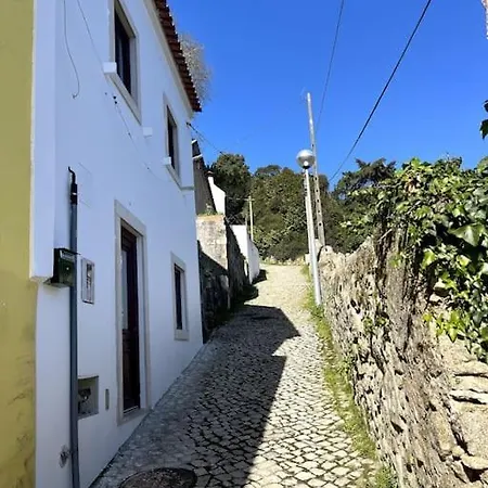Dağ evi Bloom I - Montain Sintra