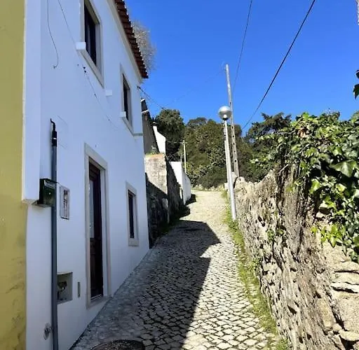 Alpstuga Bloom I - Montain Sintra